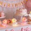 Hoolight Unicorn String Lights 10 LED Lights Battery Operated Unicorn