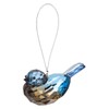 Ganz Crystal Expressions Eastern Blue Bird Acrylic Ornament, Decorative Hanging