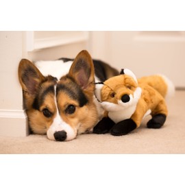 Fluff & Tuff Hendrix Fox