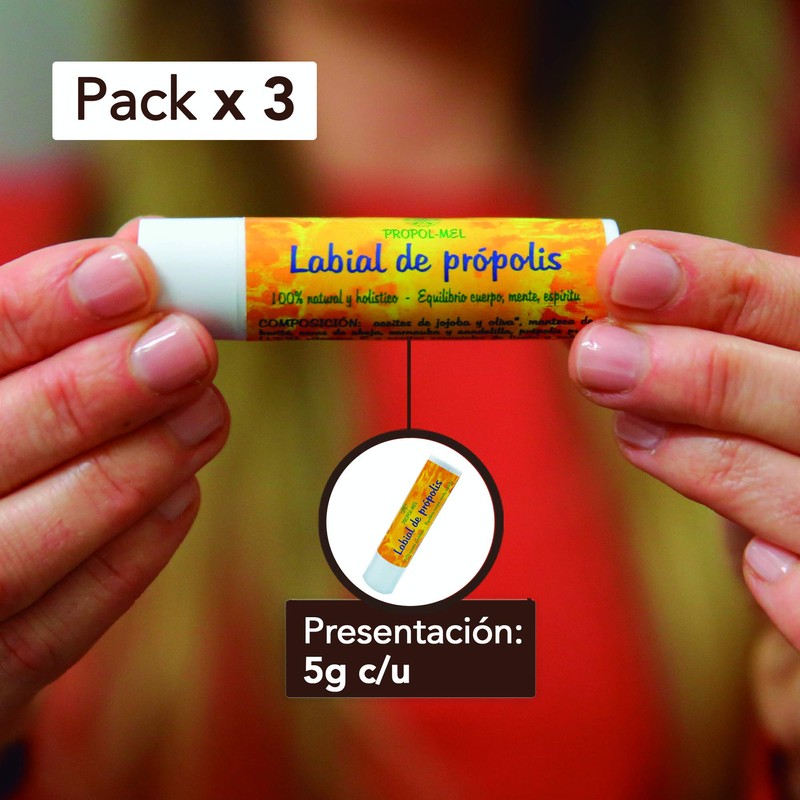 Pack x 3 Organic lip balm 5 g each. Lip