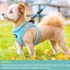 haapaw Dog Harness with Leash Set, No Pull Adjustable Reflective