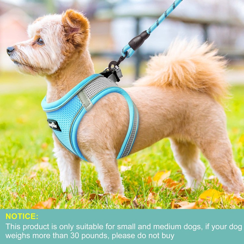 haapaw Dog Harness with Leash Set, No Pull Adjustable Reflective