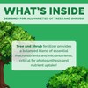 Bloom City's Tree & Shrub Fertilizer - Tree & Evergreen
