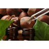 Pure Spearmint Extract for Baking and Flavoring - 4 OZ