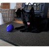 Jolly Pets Jolly Egg Dog Toy, Purple 20cm (8")