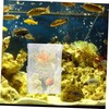 NOLITOY 4pcs Fish Breeding Box Small Aquarium Isolation Containers with