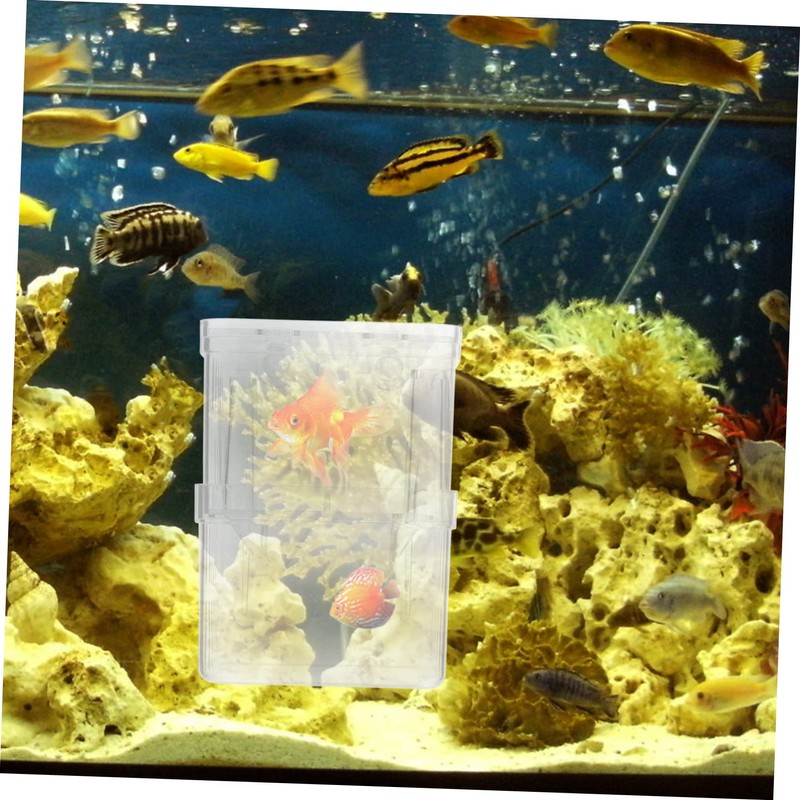NOLITOY 4pcs Fish Breeding Box Small Aquarium Isolation Containers with