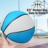 TNELTUEB Swimming Pool Basketball 2 Pack, 8.5in for Swimming Pool
