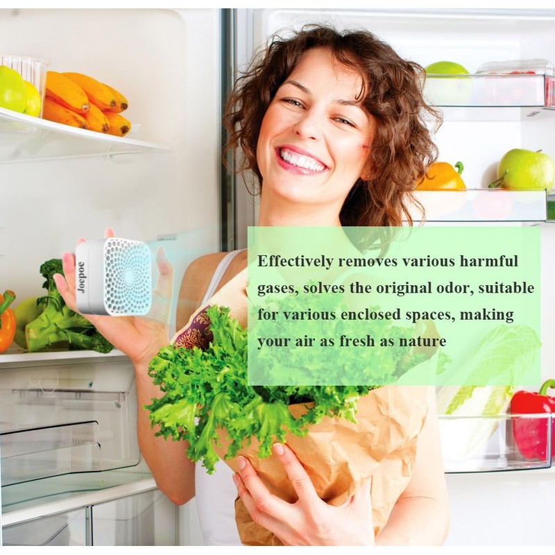 Refrigerator Deodorizer Lasts for 10 Years, Odor Eliminator 99%