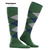 Burlington King Knee Socks Opaque Cotton (Organic), Green Eucalyptus 7502