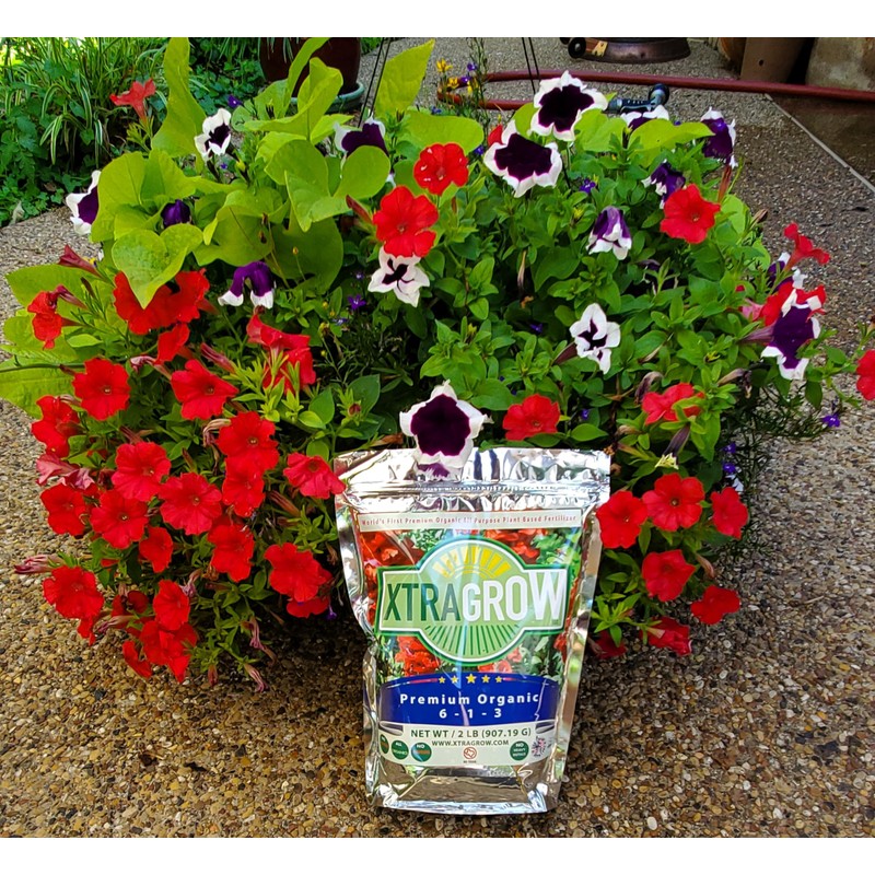 XtraGrow Plant Food