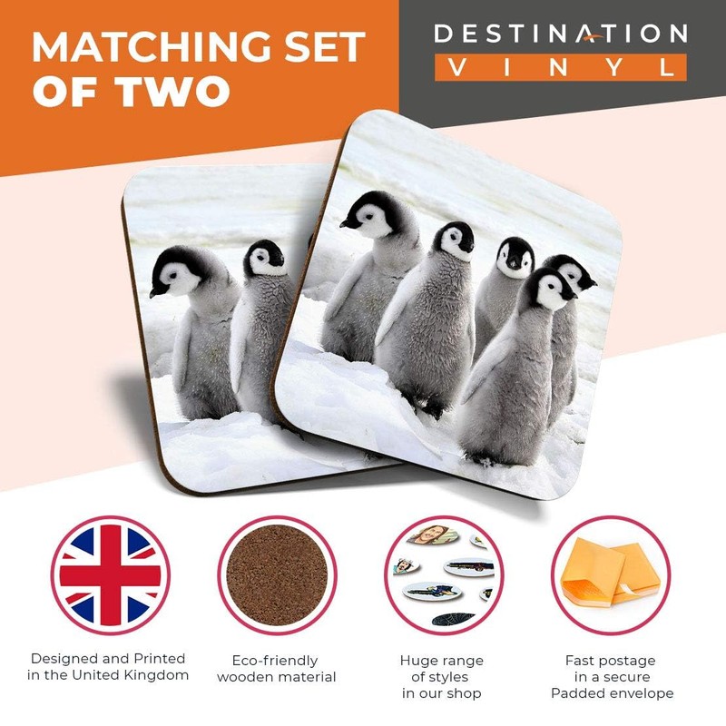 2 x MDF Glossy Top Coasters Square - Emperor Penguin