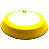 Pro-Graad 8" Premium Hook and Loop Backing Plate for Sanding,