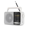 BAIJIALI AM FM SW Portable Radio - Dual Power (Battery/USB)