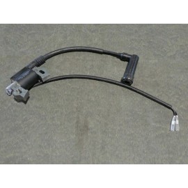 LCT Gasoline Generator LCT USA CMXX MAXX Ignition Coil Magneto Parts 208cc 6HP 136cc