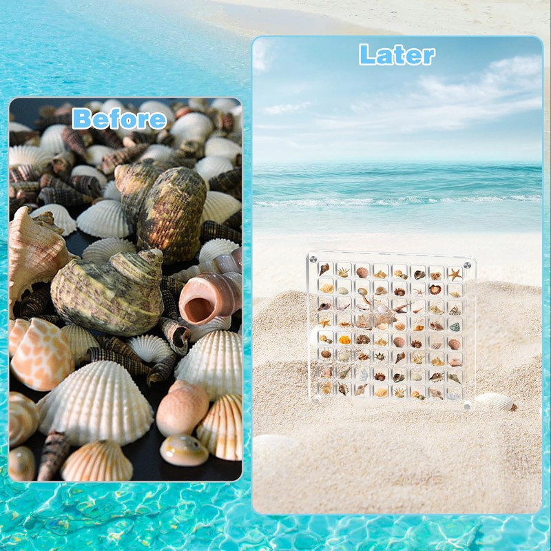 Acrylic Magnetic Seashell Display Box, 64 Grids Acrylic Seashell Display
