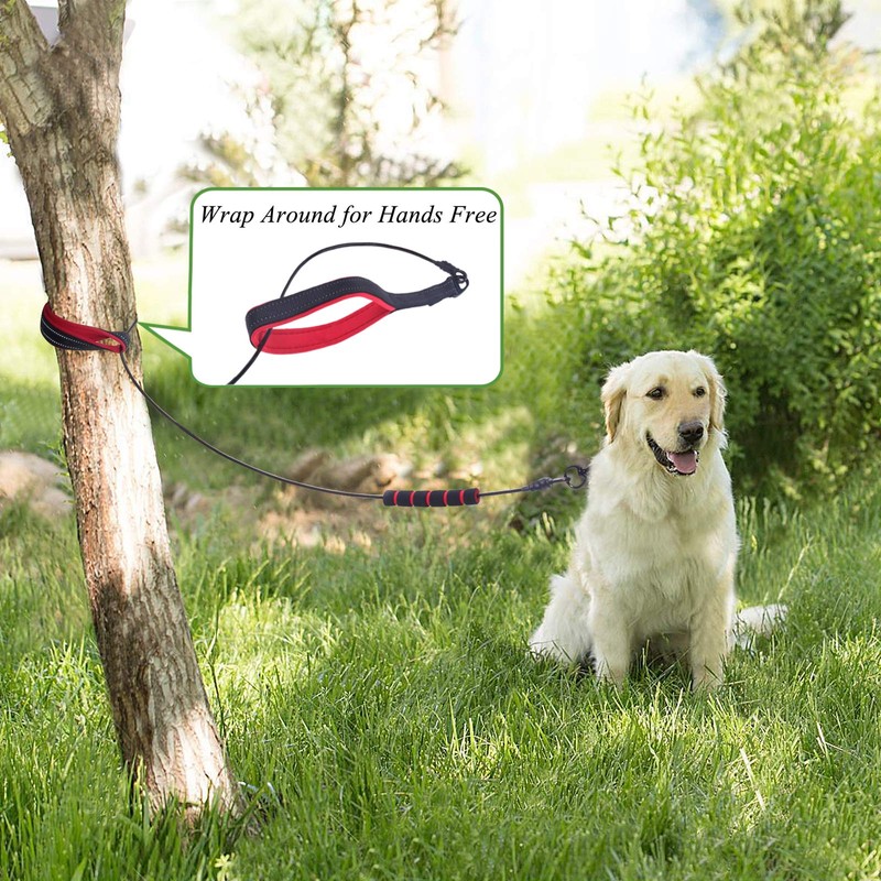 VIVAGLORY Chew Proof Dog Leash Toughbite Non Chewable Dog Leash