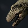 Tyrannosaurus Type B Middle Soft Vinyl Kit Reprint 1/35 Scale