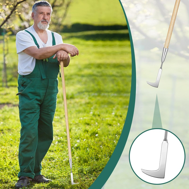 Lothee Garden Long Handle Crack Weeder 54 Inch Stainless Steel