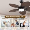 Wiviniya Tropical Ceiling Fans with Lights and Remote/APP Control, 44