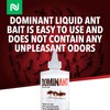 Dominant Liquid Ant Bait, Borax-Based Eliminator, Super Sweet Attractant, Controls