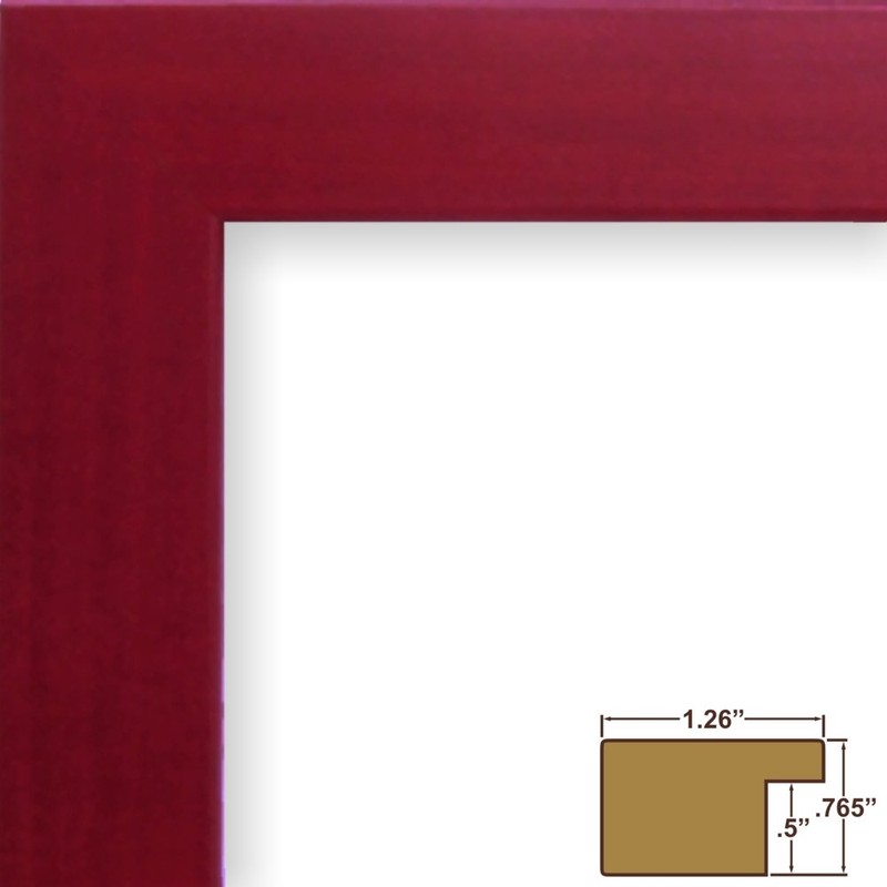 Craig Frames 26024 8.5 by 11-Inch Picture Frame, Smooth Wrap