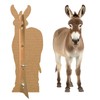 Donkey - Life Size Cardboard Cutout Standup People with Support