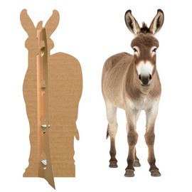 Donkey - Life Size Cardboard Cutout Standup People with Support Standee | Animals -