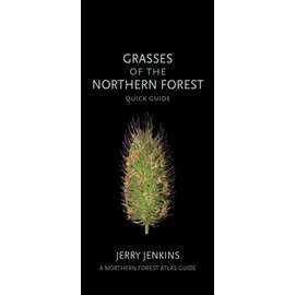 Grasses of the Northern Forest: Quick Guide
