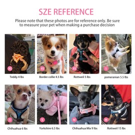 Dog Harness for Small Dogs and Leash Set, Honeycomb Grid, Reflective Lightweight Harness & Anti-Twist Pet Lead (Multi Color, XS, Pink)