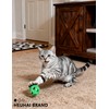 HEUHAI 6 Pcs Cat Toys Balls, 4 Bell Balls and