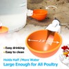 Large Automatic Chicken Waterer Cups with Inserts, Chicken Water Feeder