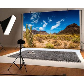 Laeacco 10x8ft Gobi Desert Huge Cactuses Wildness Weathered Mountains Scenic Background for Photography Desolate Place Nature Scenery Backdrop Landscape Wallpaper Studio Props