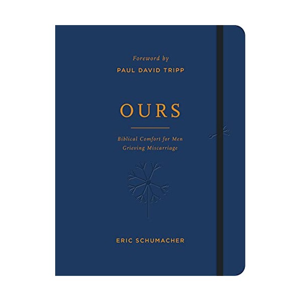 Ours: Biblical Comfort for Men Grieving Miscarriage (Journaling devotion gift