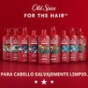 Old Spice Krakengard 2 en 1 Champú y acondicionador para