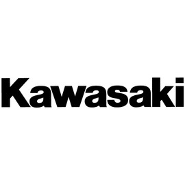 670D2016 - Kawasaki O-Ring