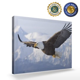 Canvas Wall Art - Flying Eagle Pictures - Modern Wall Decor Gallery Canvas Wraps Giclee Print Stretched and Framed Ready to Hang - 12" x 16"