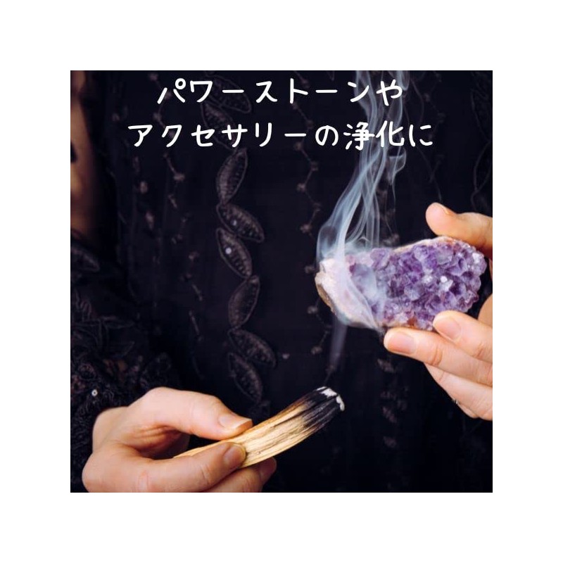 Palo Santo Stick Incense Wood Outlet Irregular Real Purified Peruvian