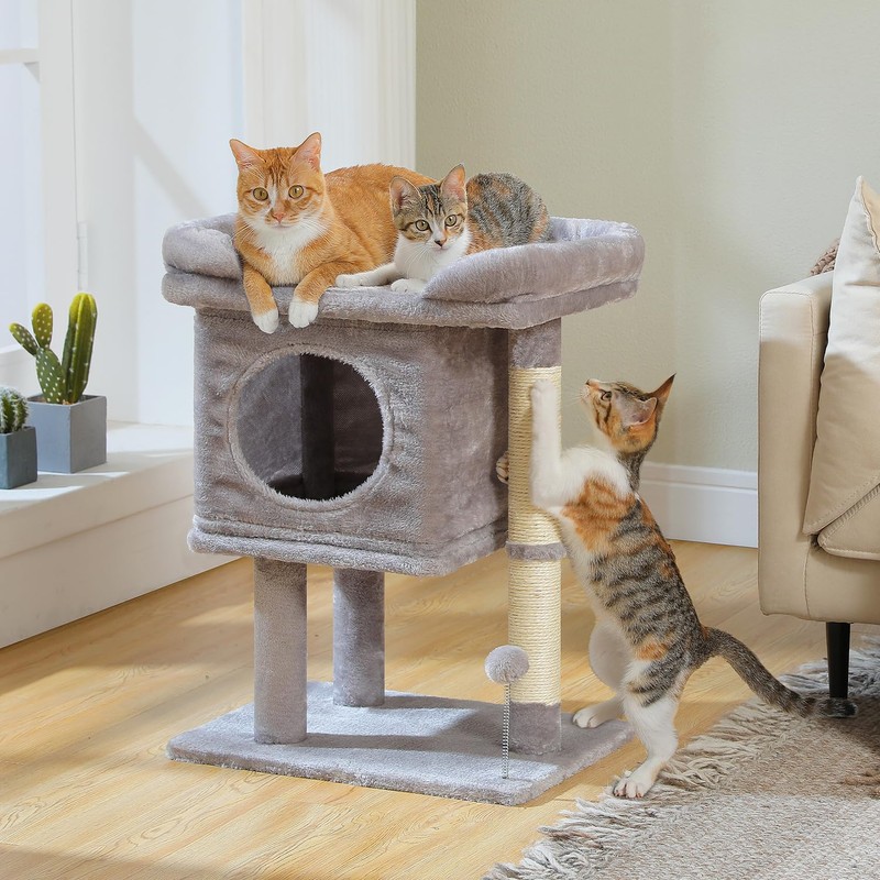 PAWZ Road Cat Scratching Post and Pad, Sisal-Covered Scratch Posts