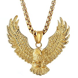 JAJAFOOK Mens Cool Gothic Tribal Stainless Steel Hawk Eagle Pendant Necklace, 20 inch Chain,Silver with Black (Gold)