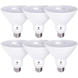 6 Pack High Power Outdoor PAR38 17W 170Watt Equivalent 1700 Lumens LED Dimmable Flood Light Bulb Waterproof E26 6000K Daylight LED Flood Light Bulbs Security Backyard Garage Led Spotlight Bulbs
