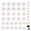 40 Pezzi Toppe Termoadesive Margherita,Applicazioni per Tessuti Fiori,HMCEY Toppe da