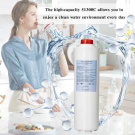 51300C Filters Replacement for EWF3000, 1 Packs 51300C Water Filters Replacement Large Capacity 3000 Gallon, (12inch No Chip) 51300C Replacement EWF3000 for 51300C ERF750, 51299C, 55898C