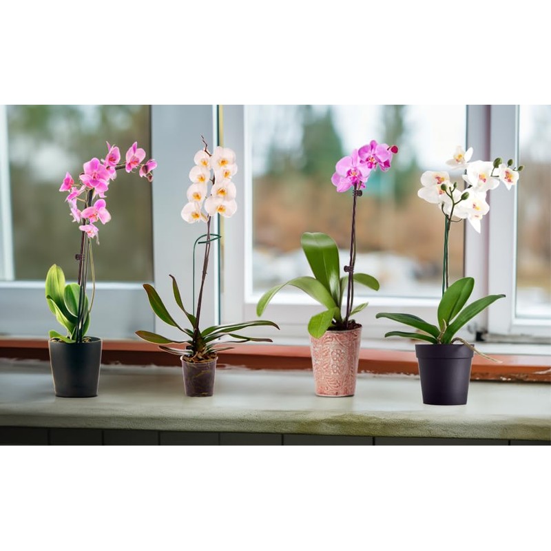 10Pcs Plant Support Stakes with 15 Pcs Plant Clips, Plant