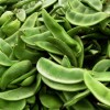 Southeast Seeds Burpee Improved Lima Bean Seeds, Butter Beans, NON-GMO,