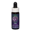 FES Flower Essences Range Of Light Quintessentials 7.5ml J to