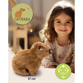 NICI Capybara Cuddly Toy Capy-Barbara 37 cm Sitting - Cute Stuffed Toy for Cuddling and Playing, Capybara Plush Toy for Cuddly Animal Lovers - 61224, Brown