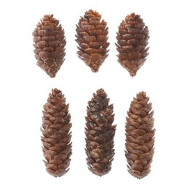 DPI Decorative Cones, Pack of 6, Plastic, Lifelike Pine Cones for Christmas Decoration, Crafts, Decoration