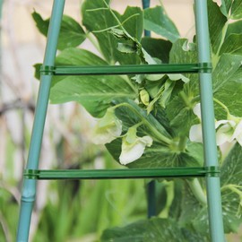 Yardwe 24 Pieces Trellis Plant Stake Tomato Sticks Connectors Plant Support Trellis Rod Trellis Plant Rod for 11 mm Diameter Plant Stakes 30 cm Long