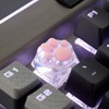 SYA ZOMOPLUS Cute Cat Paw Keycap,Transparent Version-1pc Custom Mechanical Keycap,Suitable